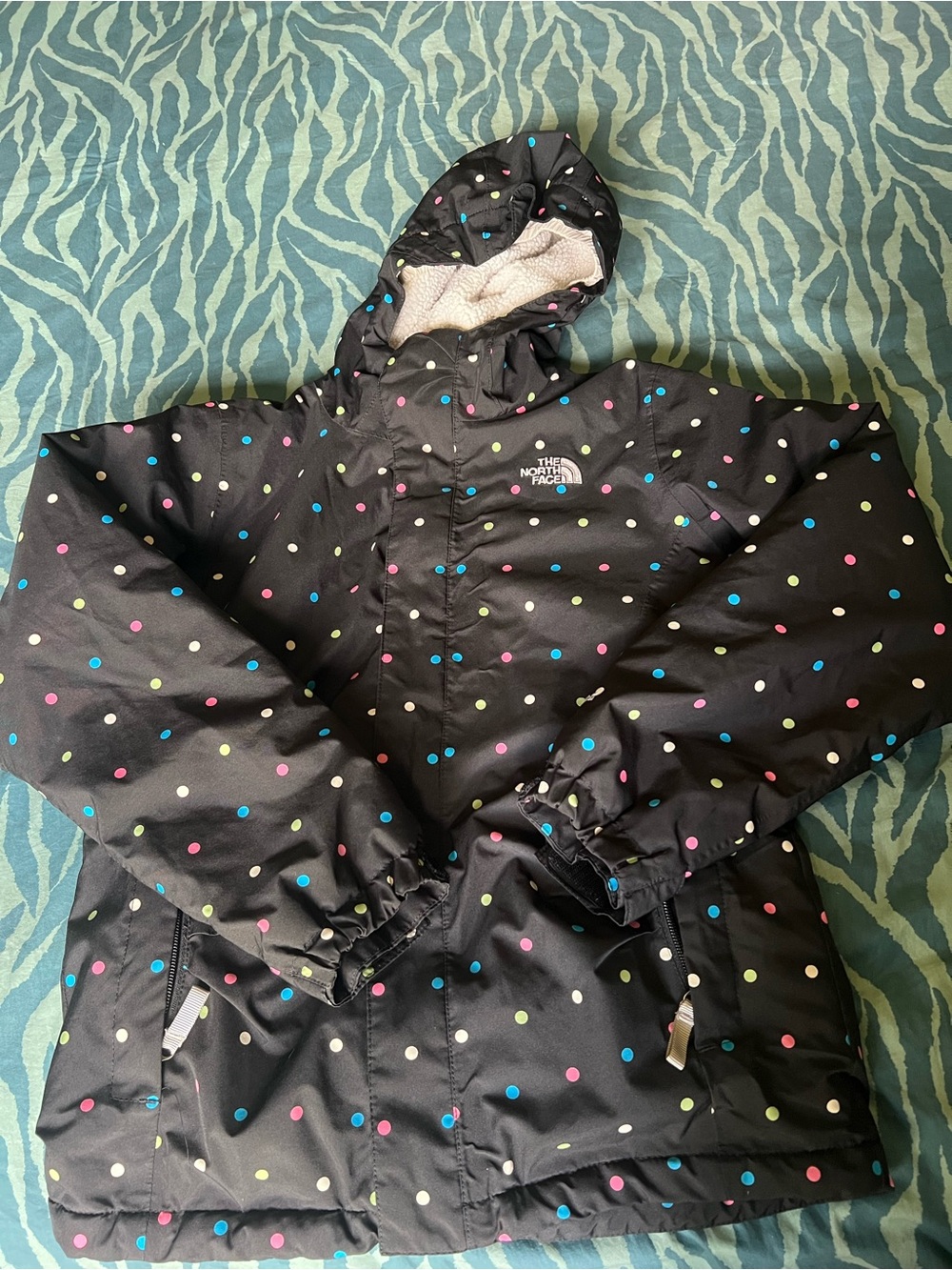 The North Face Winter Jacket